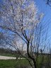 park_nadmorski.jpg - 